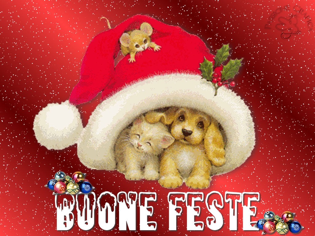 Immagini Natalizie X Auguri.Auguri Di Buon Natale Su Whatsapp Una Lista Lunghissima Di Messaggi Per Tutti Tantissime Immagini E Video Da Inviare Caffeina Magazine