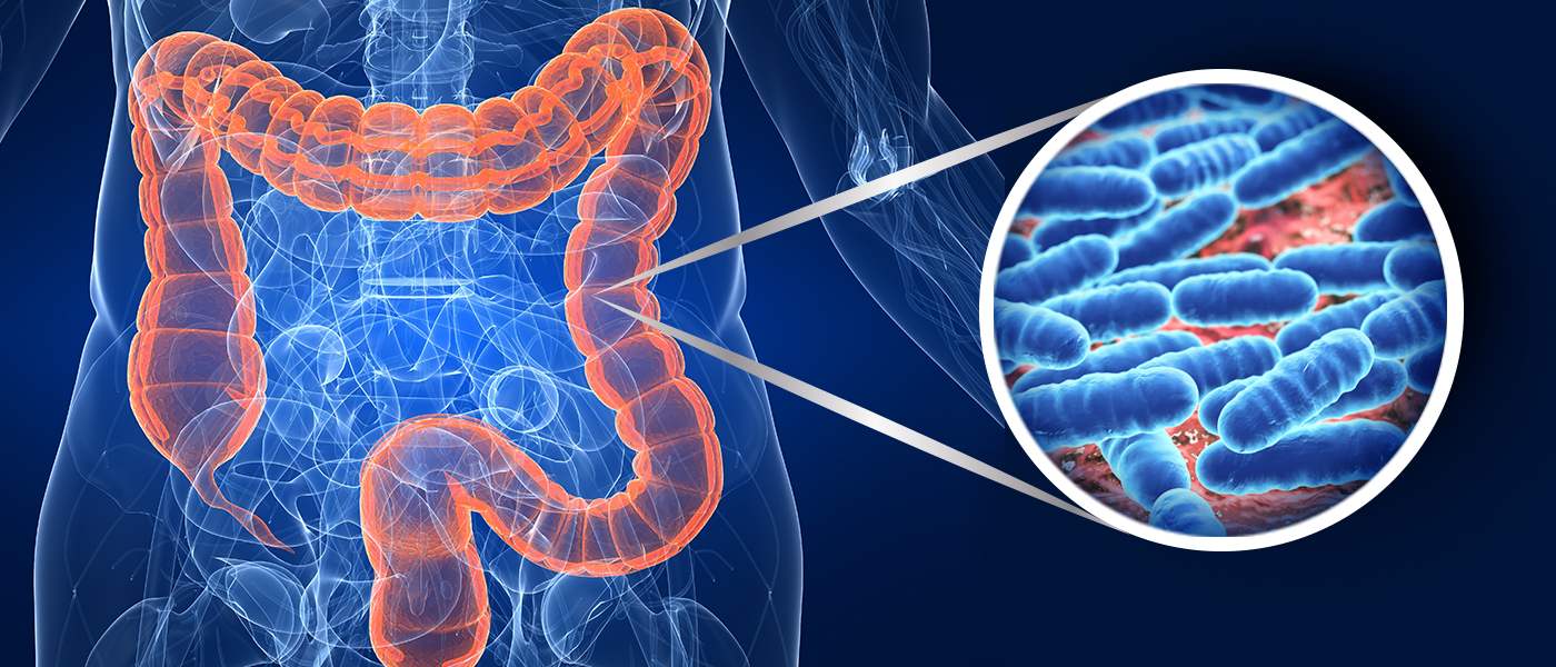 Microbiota Intestinale: L’organo Del Nostro Corpo Che ‘non Ci ...