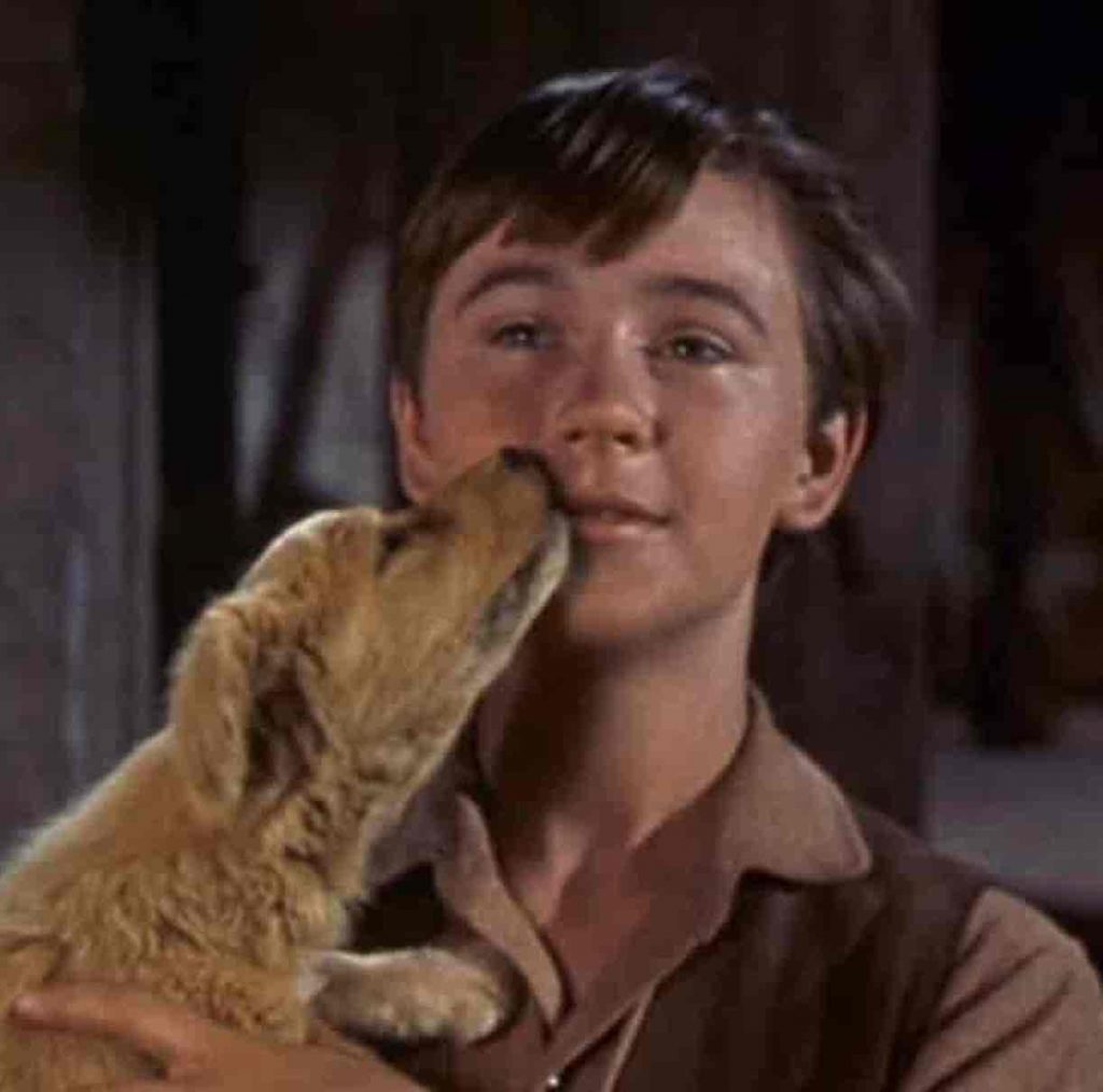 Tommy Kirk morto attore