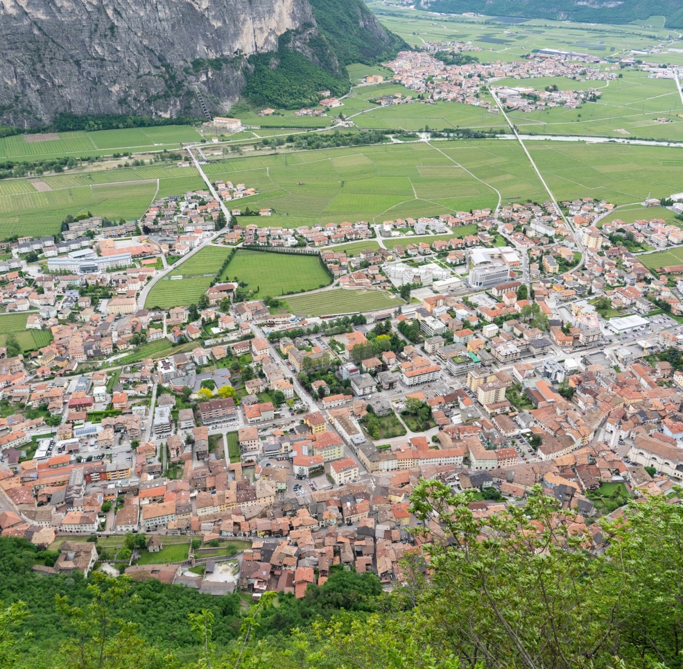 trento ciro longo prof morto