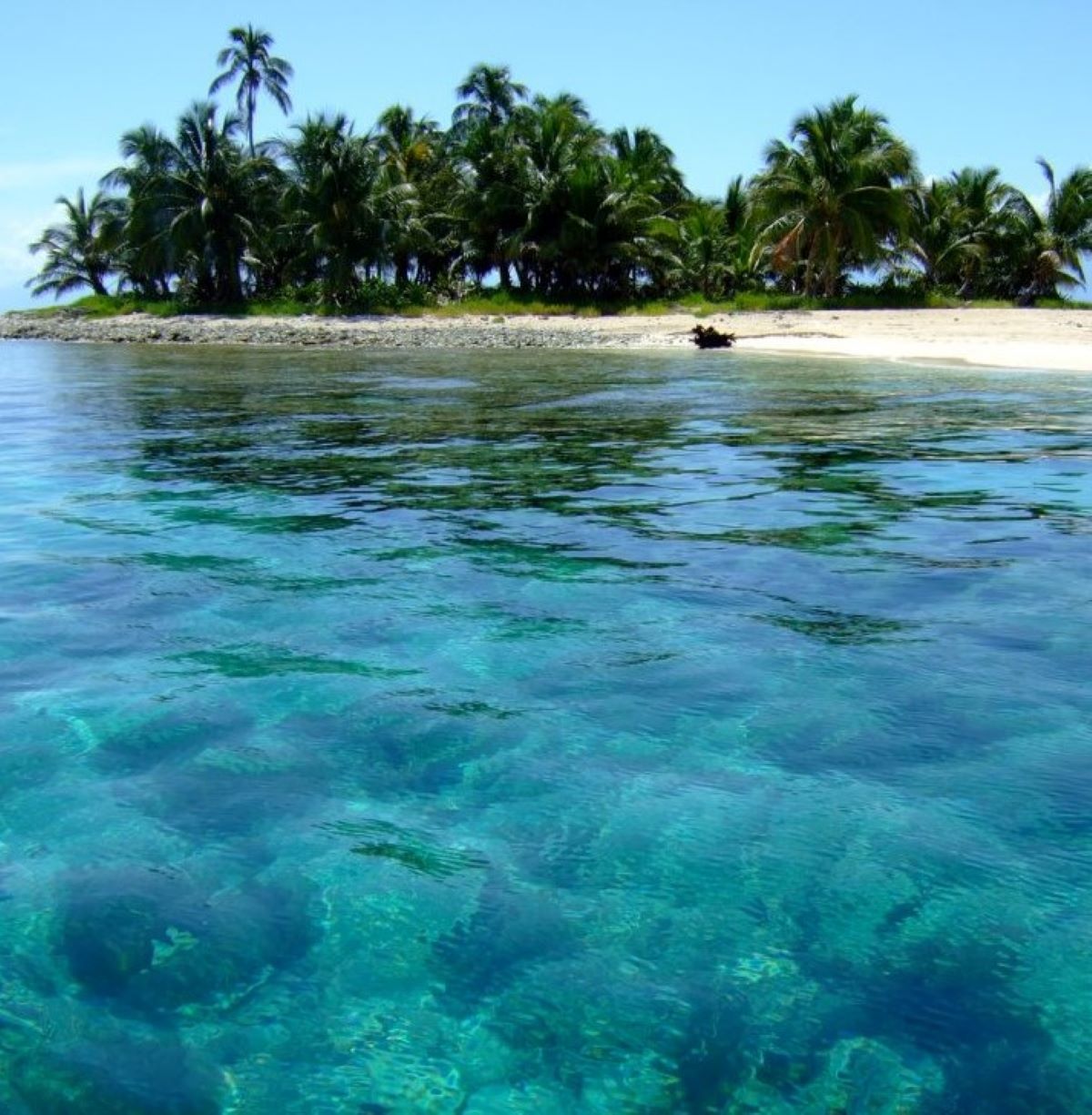 Isola dei Famosi Davide Di Porto Cassonetti