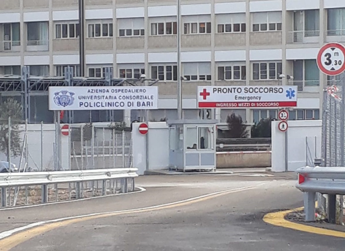 Emergenza zanzare a Bari