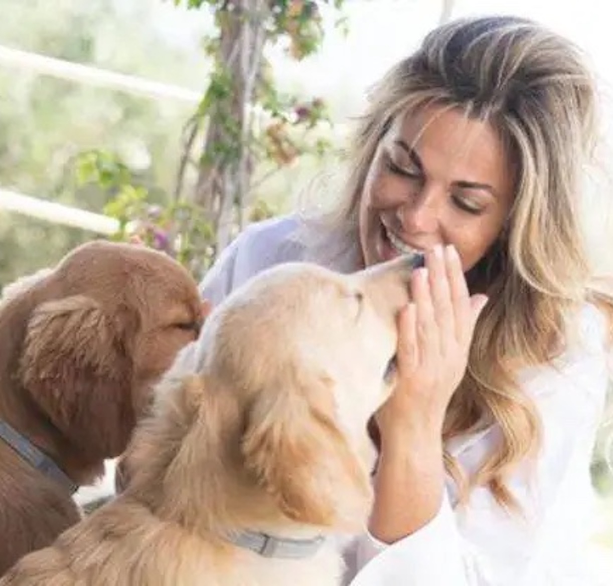 spariti i cani di vanessa incontrada