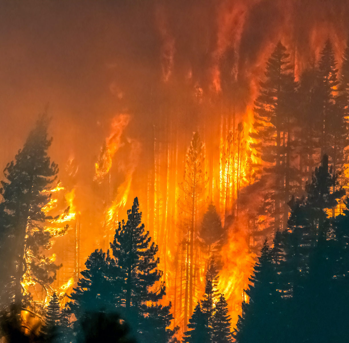 Grosso incendio in Dalmazia