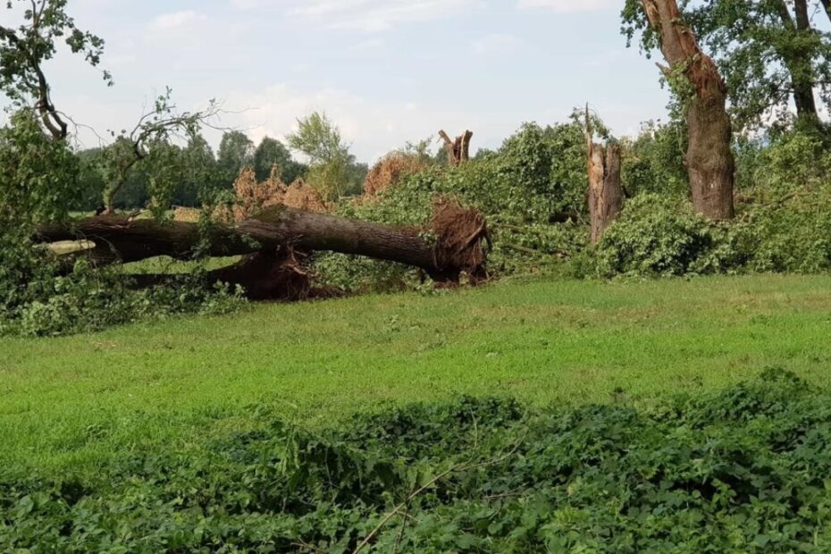 maltempo torino grandine danni