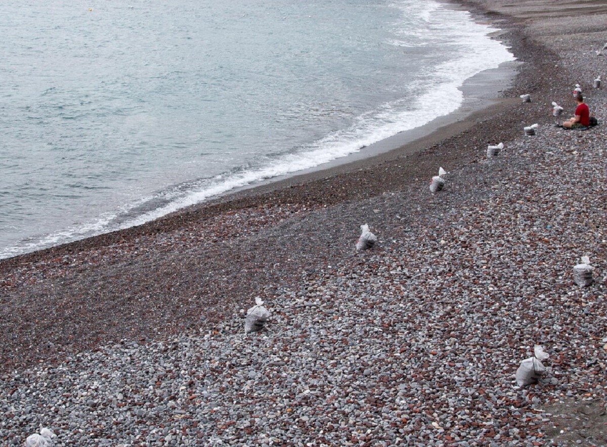 Donna aggredita in spiaggia da un cinghiale racconto di Rossana Padoan Falcone