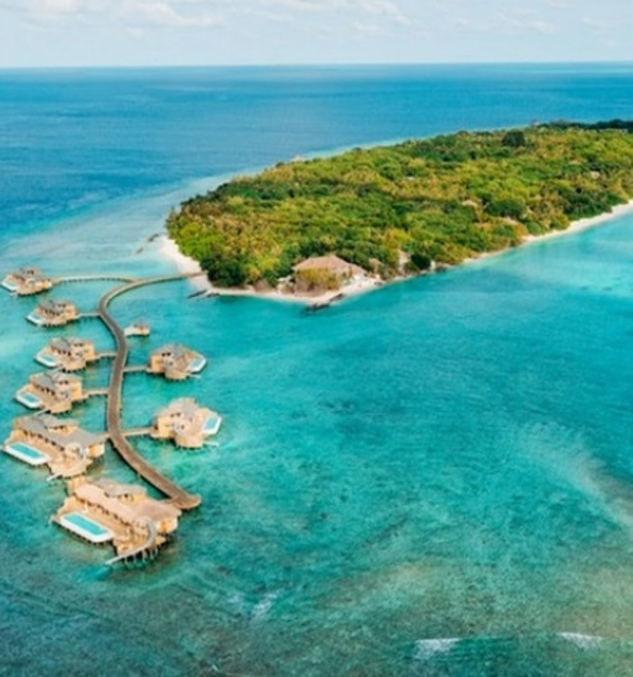 cercasi libraio maldive