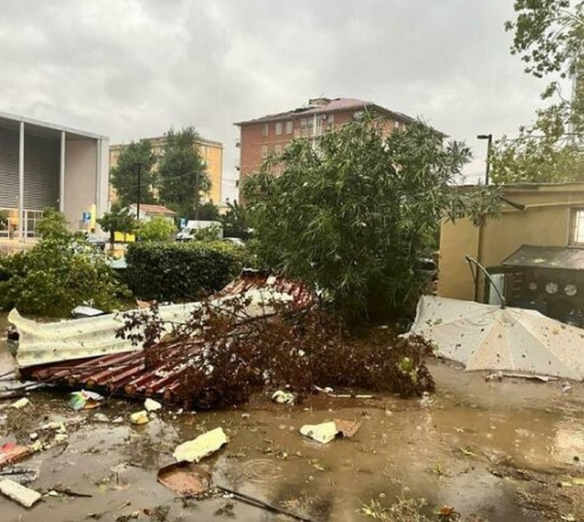 Maria Laura Zuccari muore a 68 anni a causa del maltempo