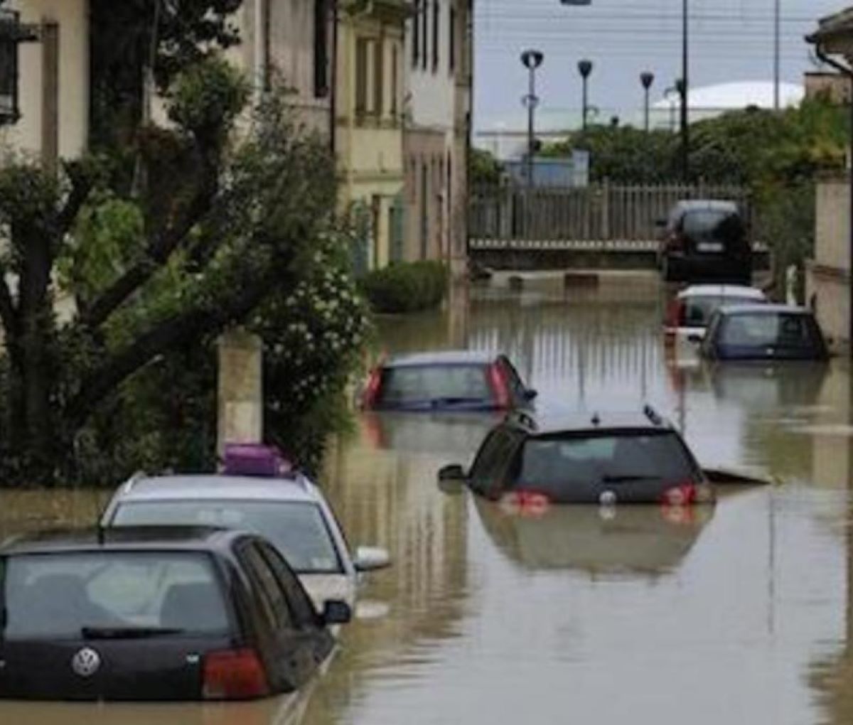 Serena Bortone Dolore Oggi è un altro giorno Alluvione Marche