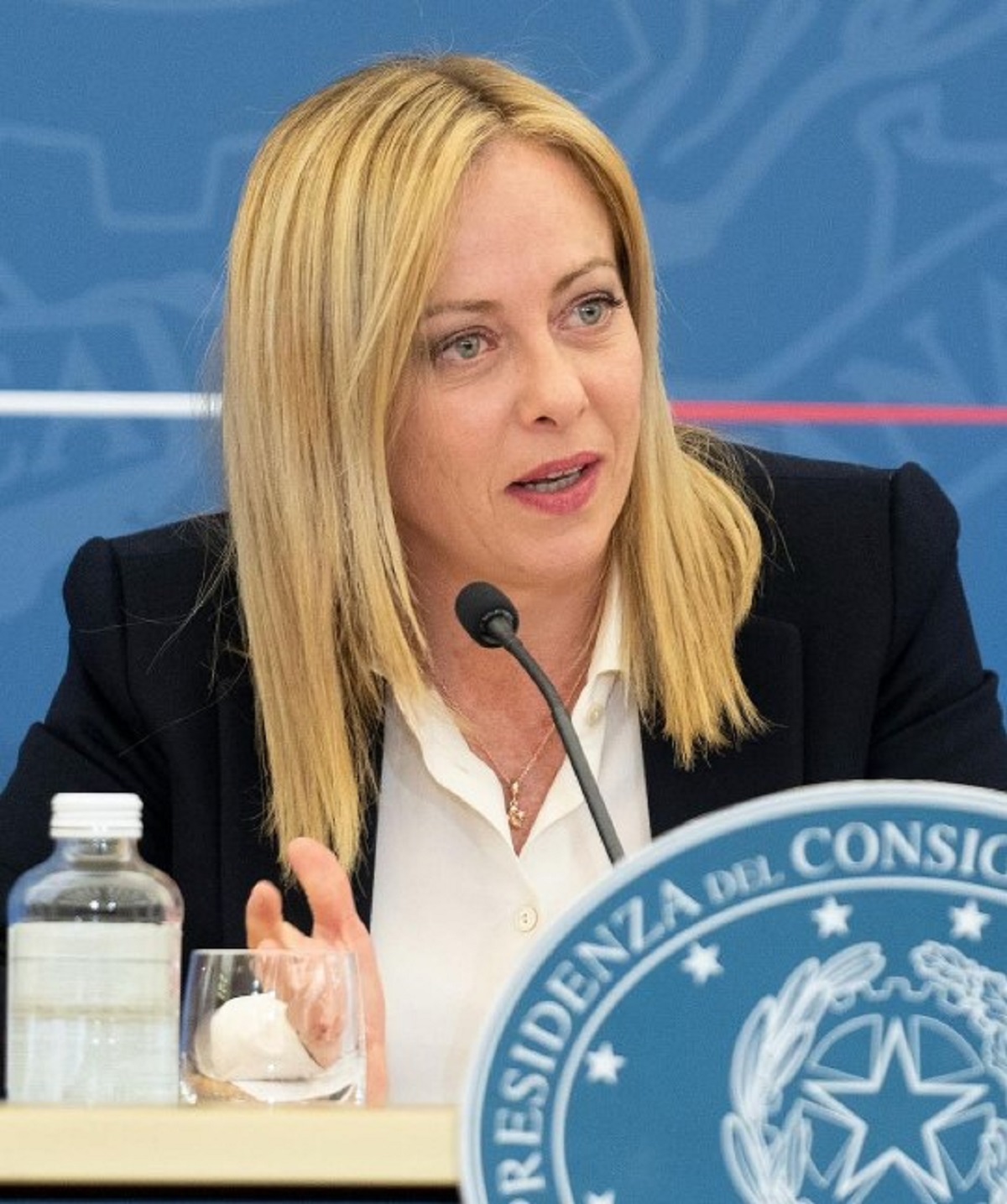 giorgia meloni reddito di cittadinanza