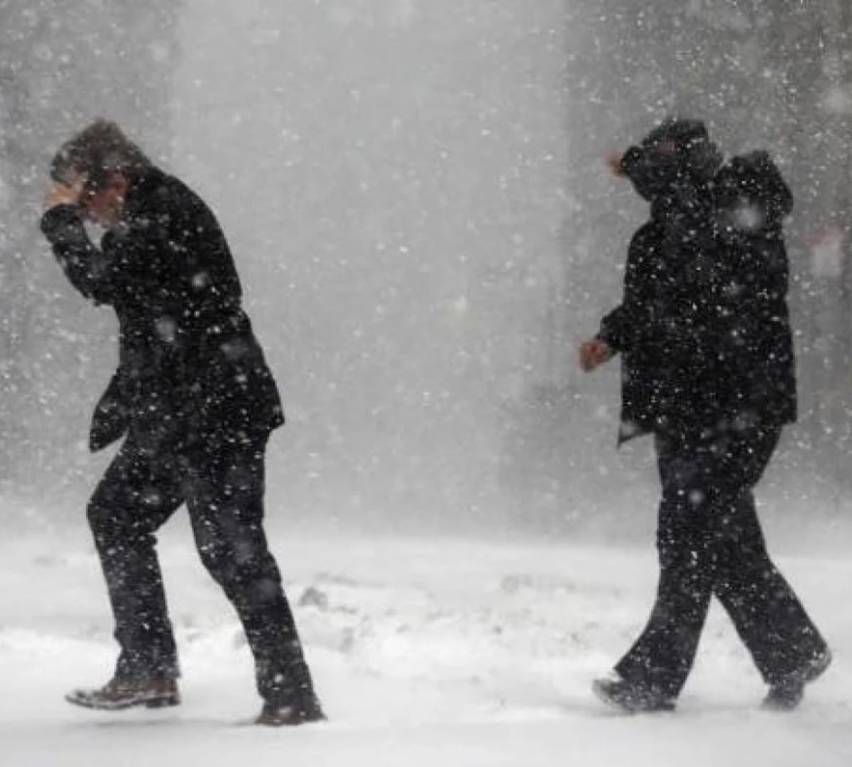 Freddo Record Temperatura