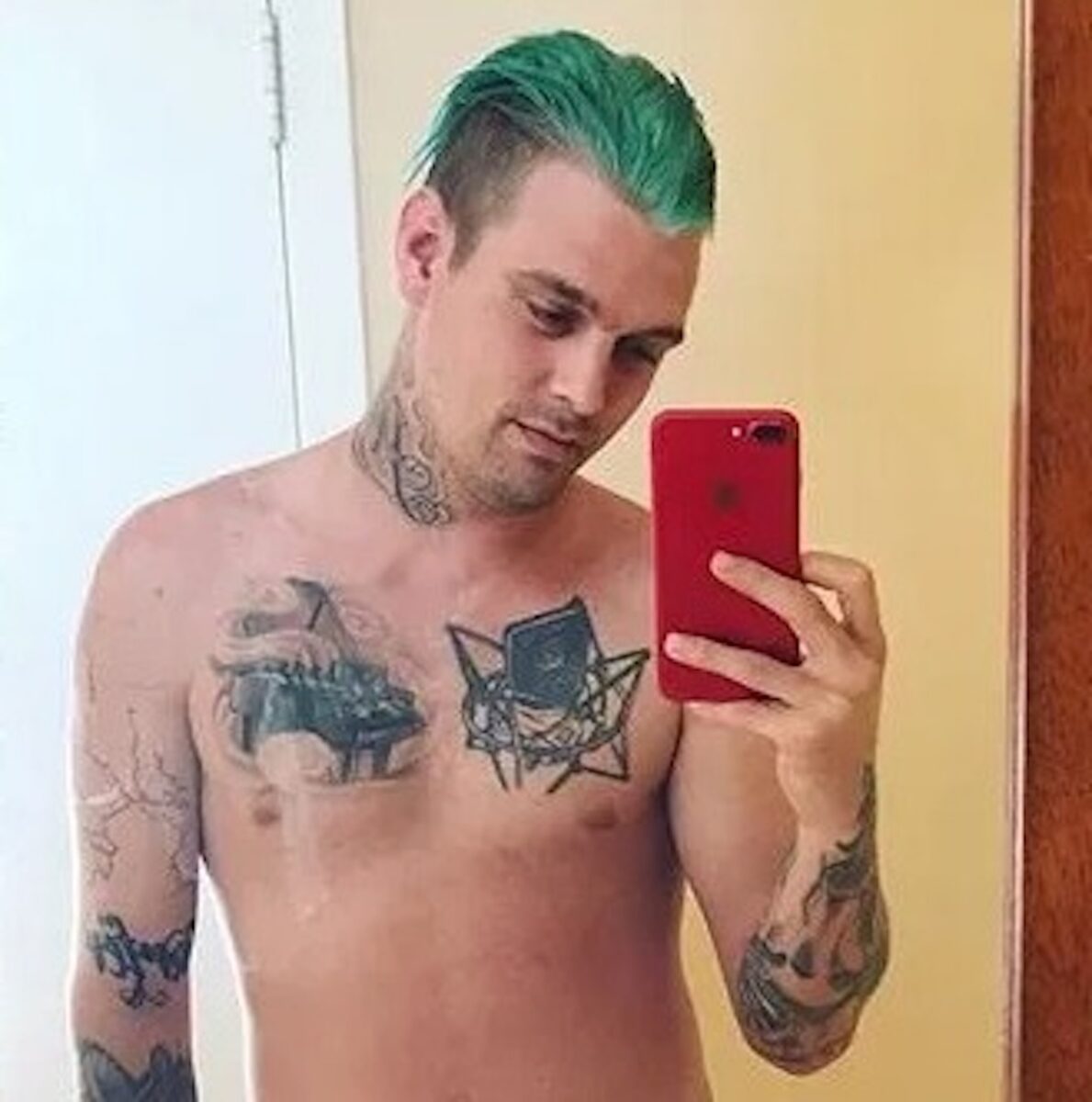 Aaron Carter, svelate le cause della morte