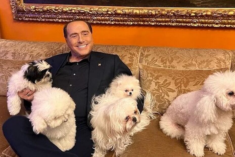 Morte Silvio Berlusconi, che fine ha fatto il cane Dudù