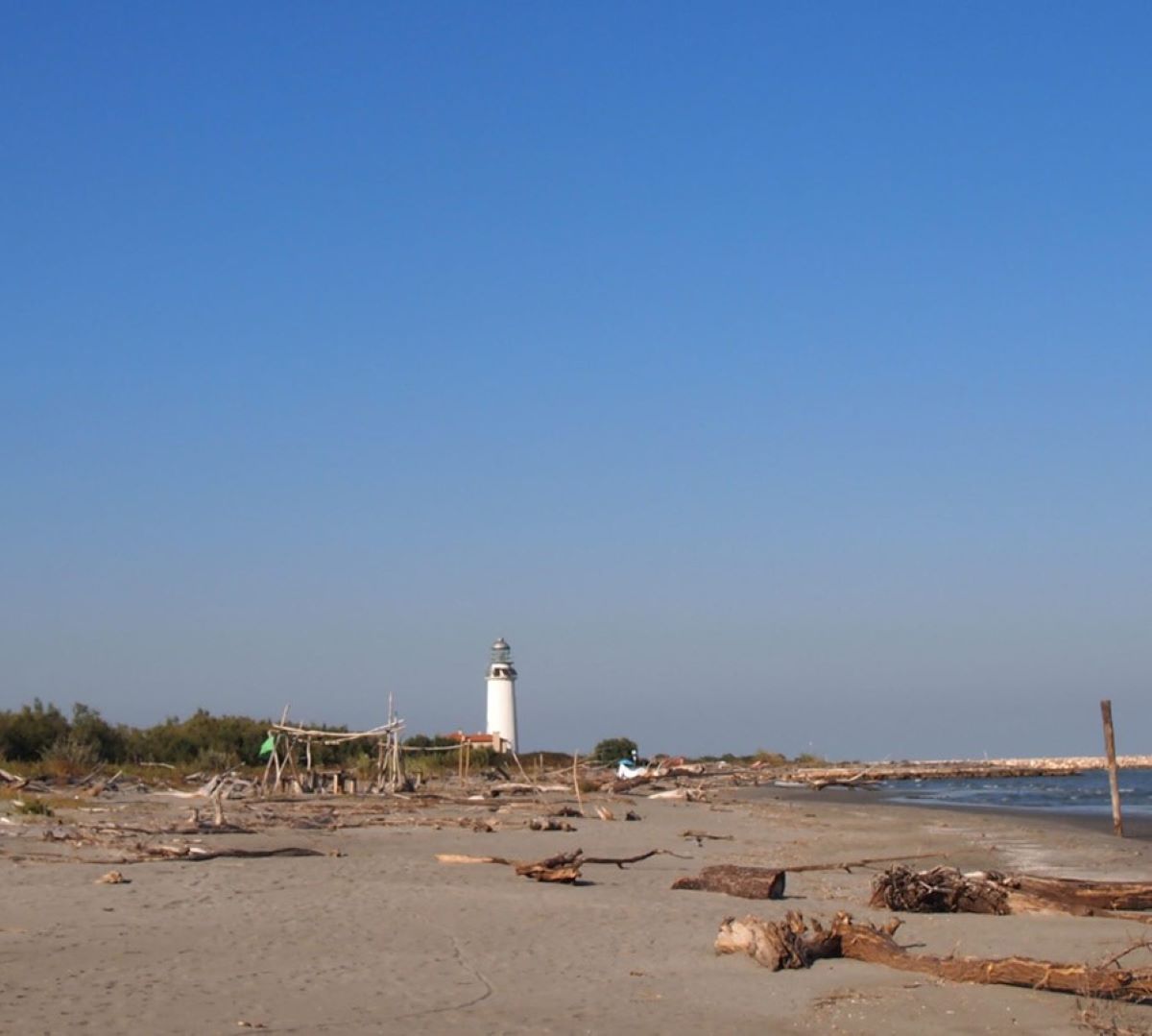 Ragazzo 14 Anni Spiaggia Morto