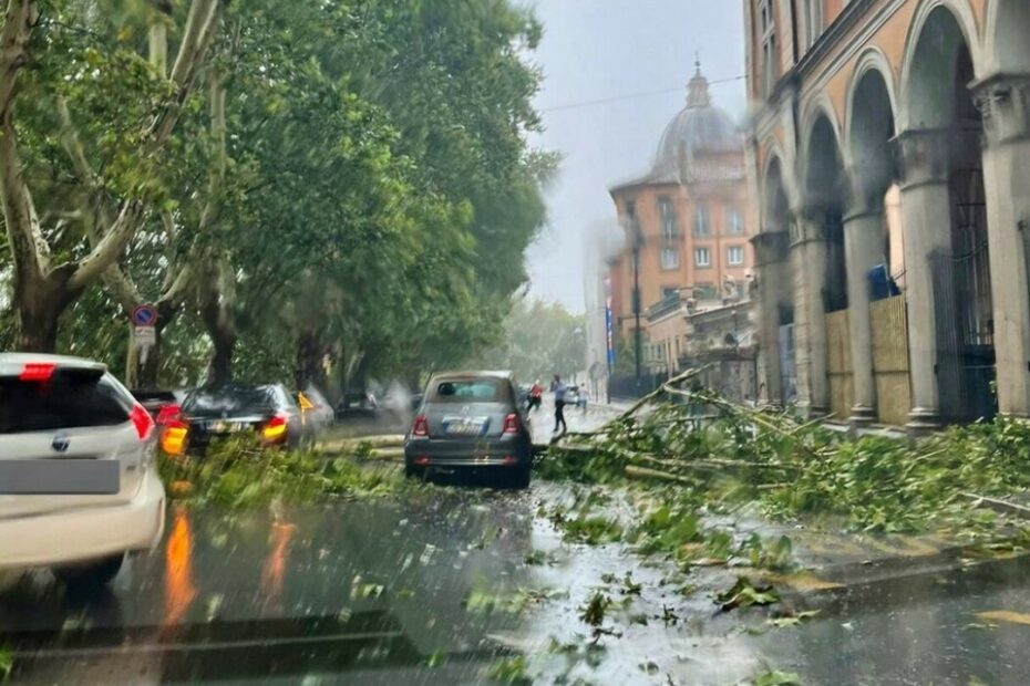 bomba acqua roma albero caduto