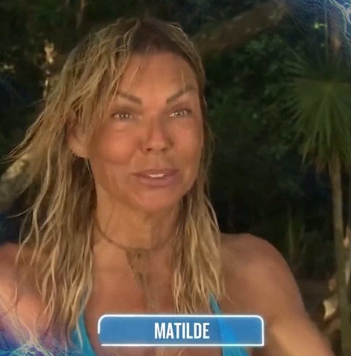 isola famosi brandi stoppa novità