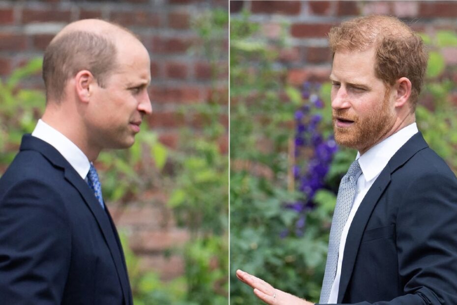 Rapporti ancora tesi tra Harry e William: l'ultima decisione choc