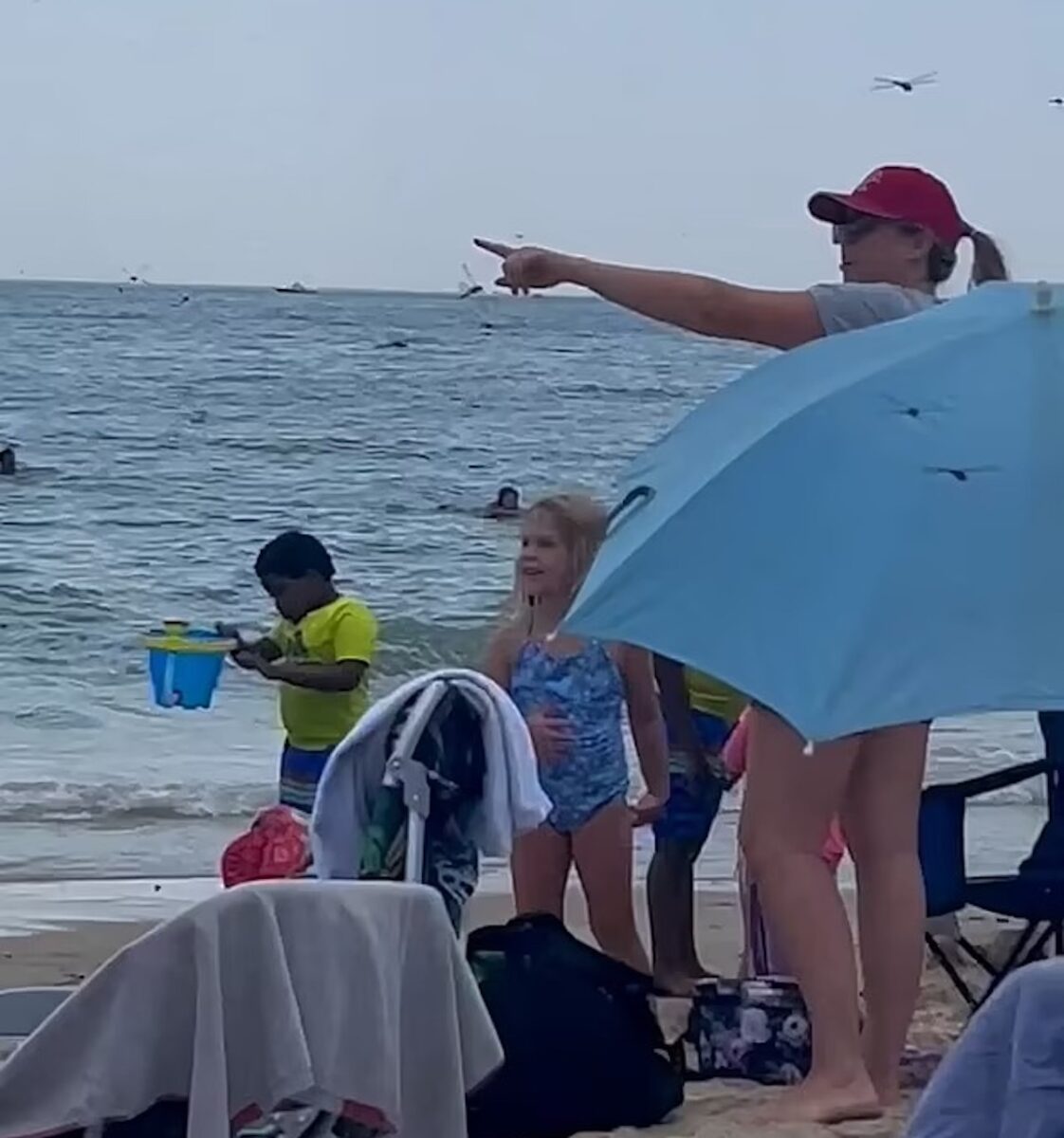 Invasione di libellule in una spiaggia del Rhode Island, bagnanti in fuga