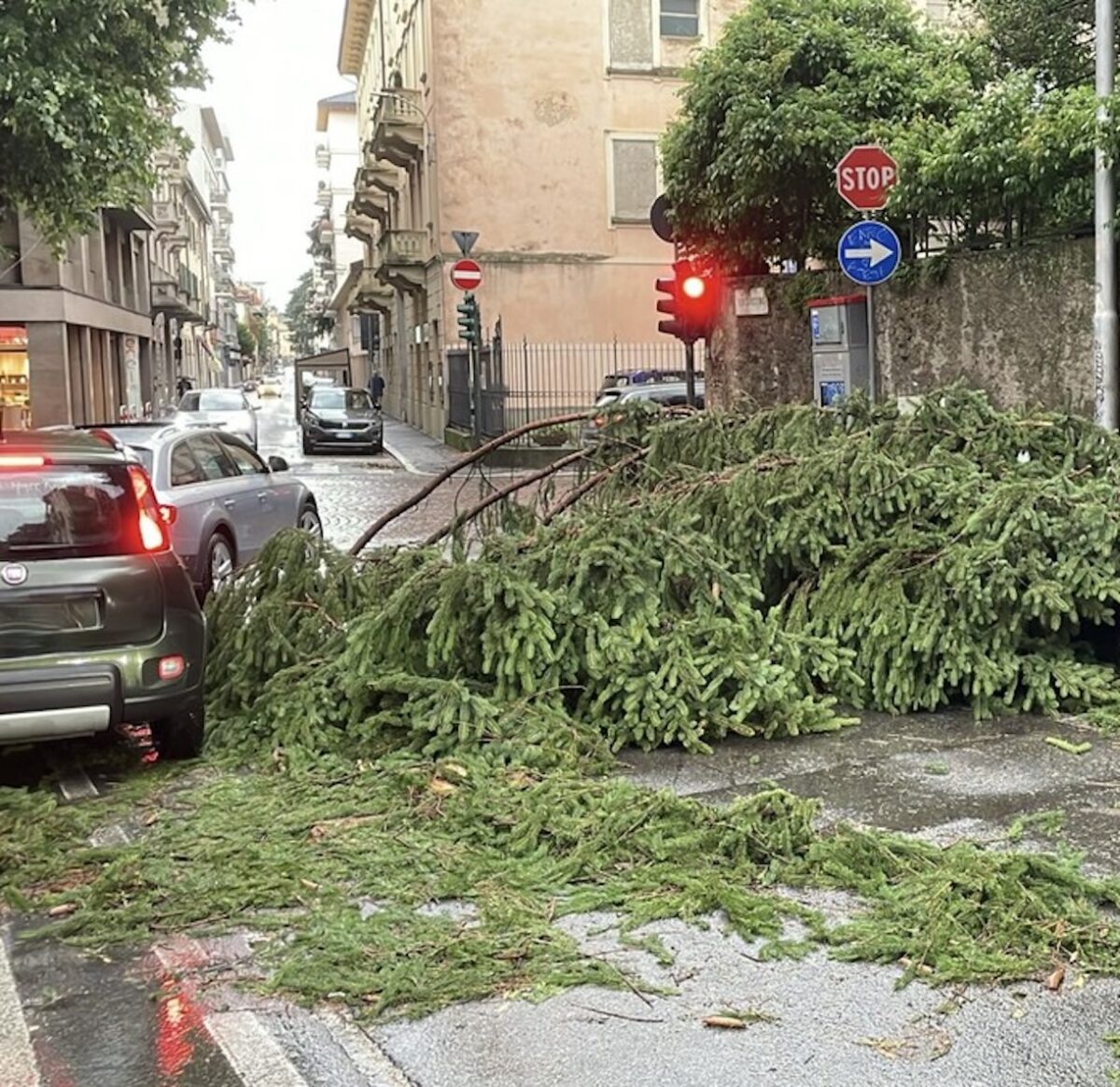 Varese, nubifragio all'alba: allagamenti, alberi caduti e traffico in tilt