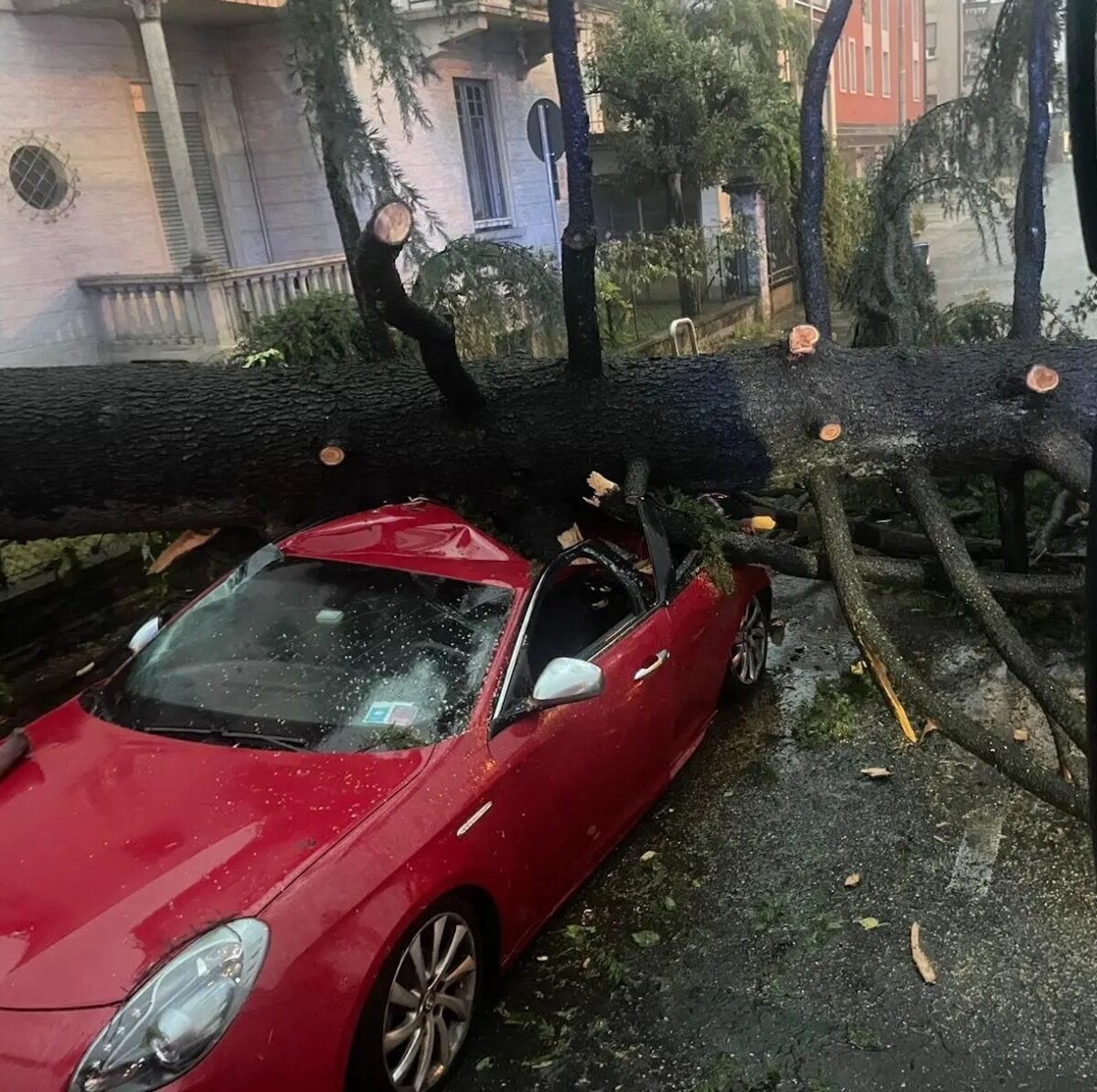 Varese, nubifragio all'alba: allagamenti, alberi caduti e traffico in tilt