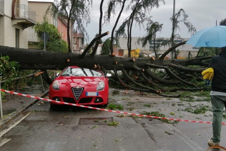 Varese, nubifragio all'alba: allagamenti, alberi caduti e traffico in tilt