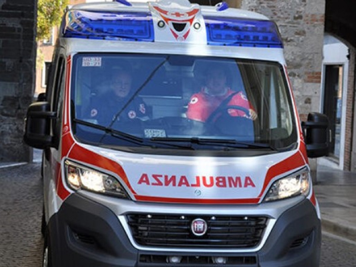 Conegliano mangiano funghi tossici morta la mamma grave il figlio 