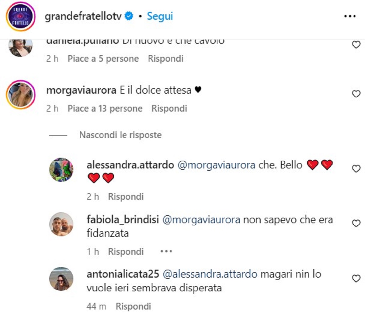 Grande Fratello, Ilaria Clemente incinta? I commenti sui social 