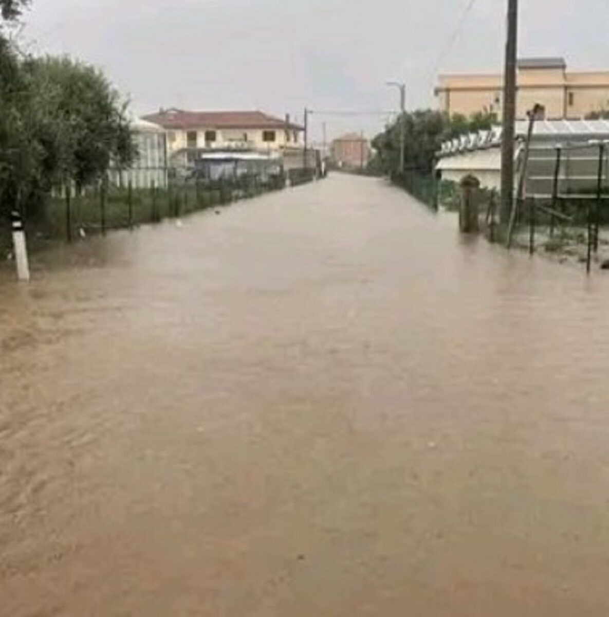 Maltempo in Liguria: fiumi esondati, danni e strade chiuse 