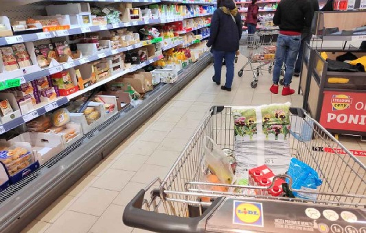 lidl ritirato lotto di albumi allevati a terra 