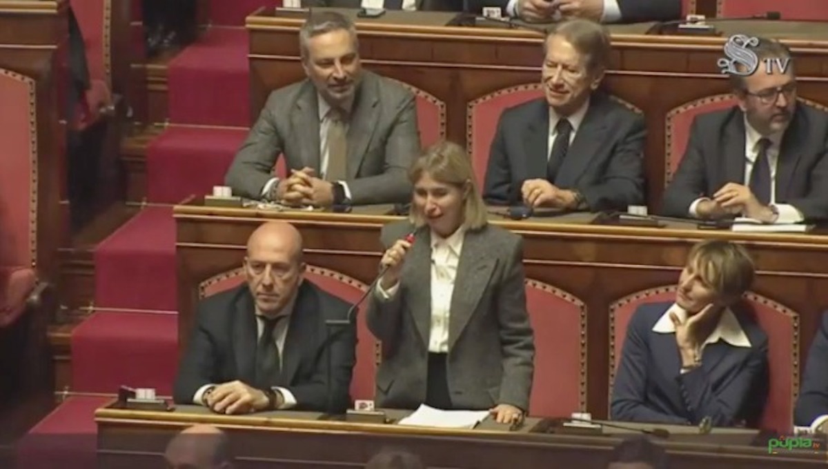 Guillermo Mariotto, il caso in senato grazie a Susanna Donatella Campione