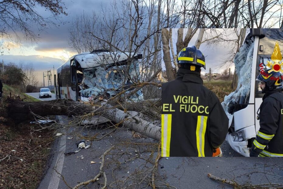 Albero cade su uno scuolabus nel Fiorentino: i bambini soccorsi dai vigili del fuoco