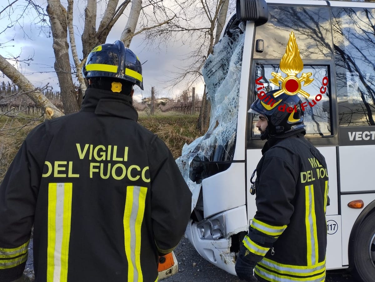 Albero cade su uno scuolabus nel Fiorentino: i bambini soccorsi dai vigili del fuoco
