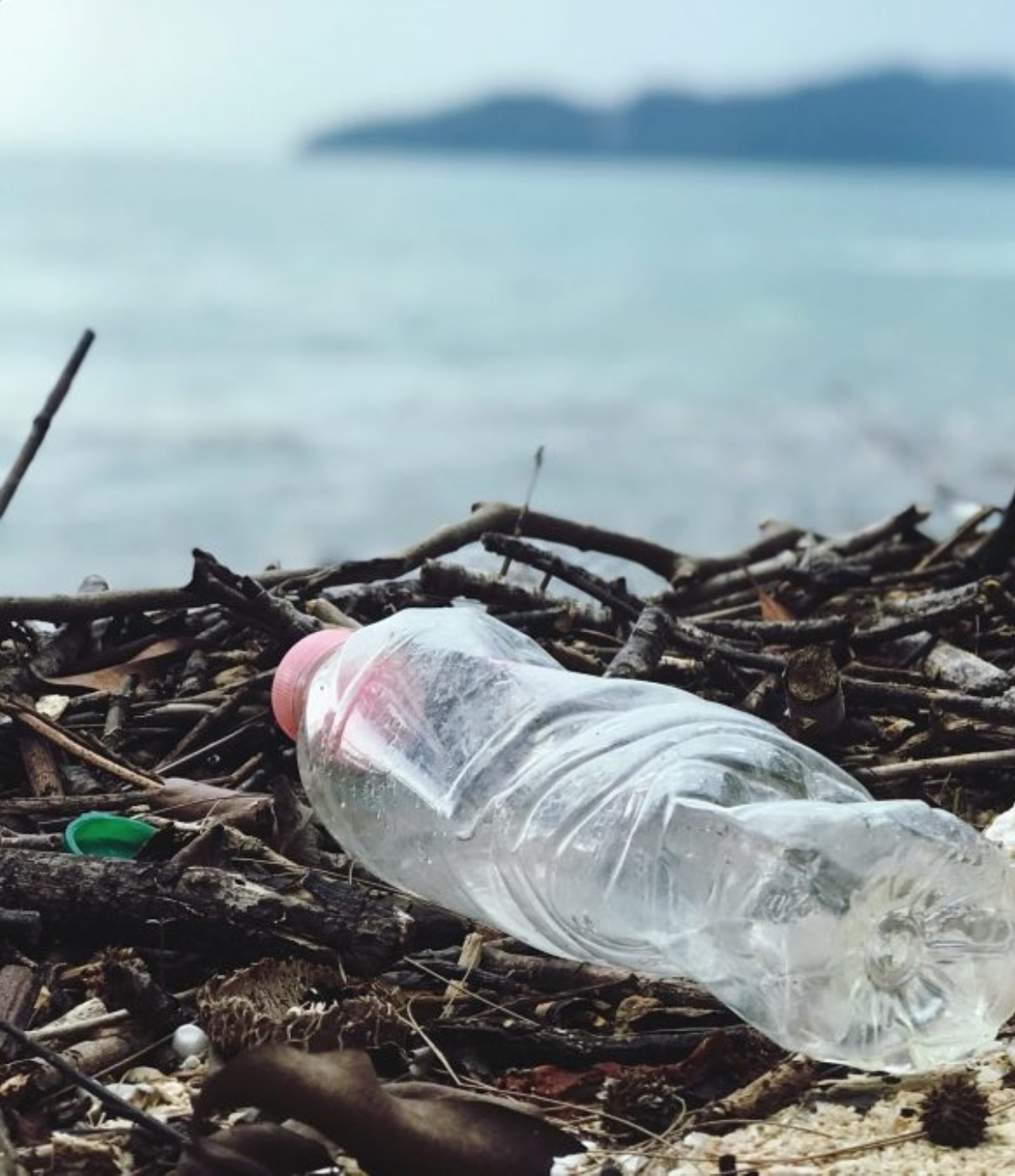 bottiglie plastica tappi cambia ancora