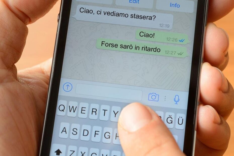 Whatsapp Terza Spunta