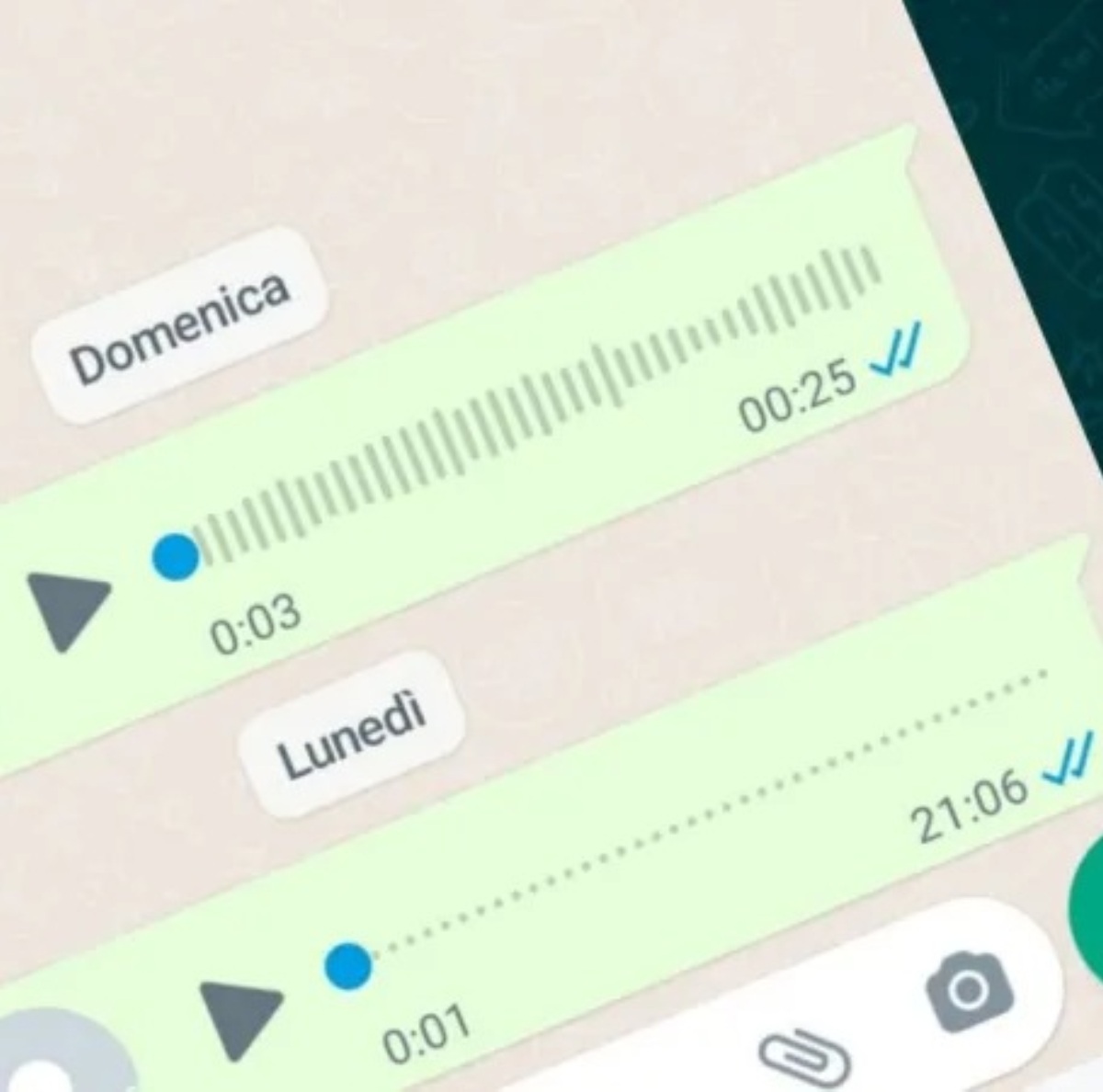 whatsapp terza spunta blu verità