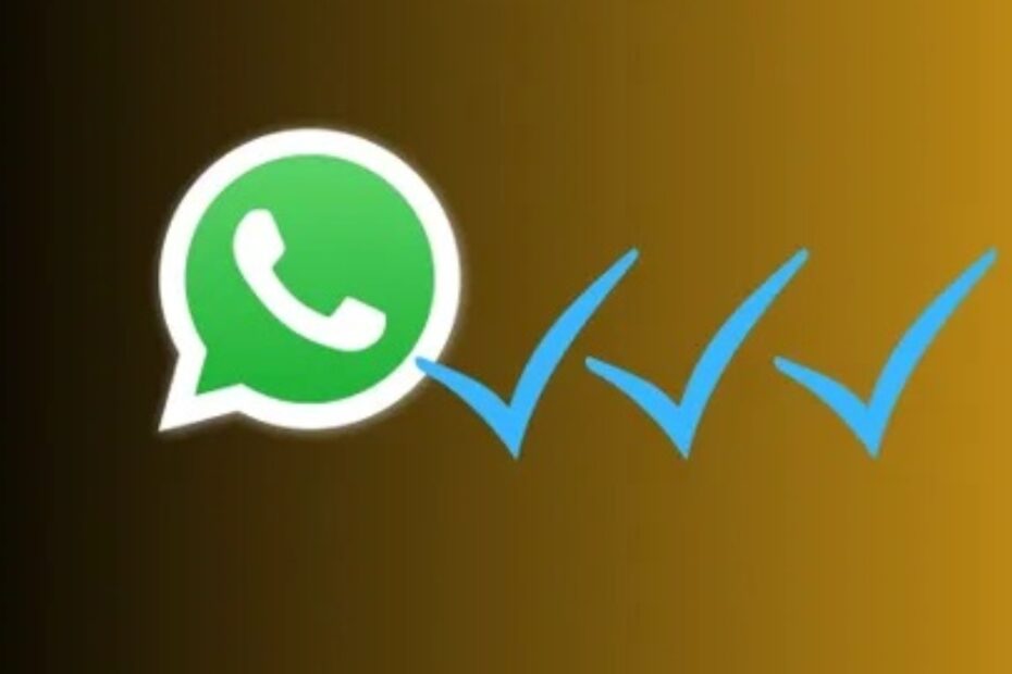 whatsapp terza spunta blu verità